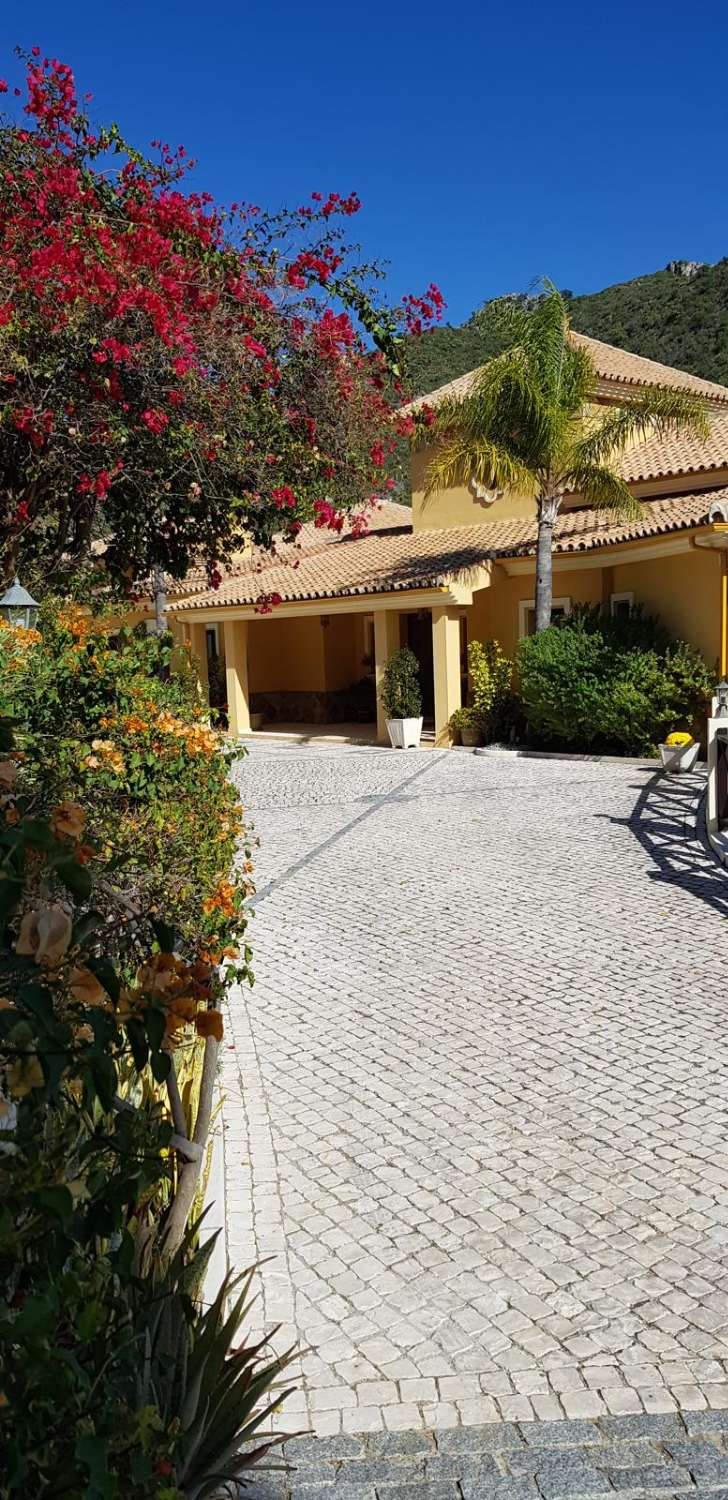 Villa zum verkauf in Montemayor-Marbella Club (Benahavís)